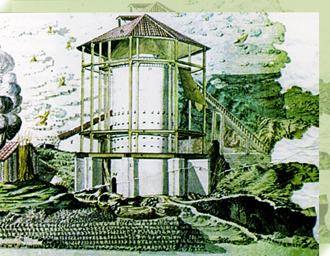 Horno de carbonizaci�n de Barripi�s - La Riera