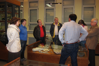 Facultad de Geol�gicas. Museo de Minerales.