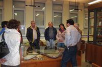 Facultad de Geol�gicas. Museo de Minerales.