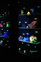 Facultad de Geol�gicas. Museo de Minerales. Minerales fluorescentes
